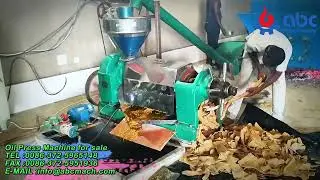 🔧 Screw Oil Press Machine | High-Efficiency Oil Extraction for Edible Oil Production
