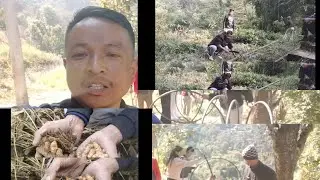 My first vlog at office/farm after ten days long holiday 😊🙏🙏