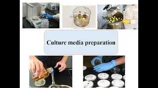 Culture media preparation| Microbiology | | In Urdu