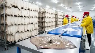 Stingray Leather Manufacturing: How Ocean Skin Becomes Luxury Wallet Industry (Full Process)