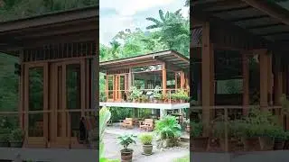 stilt house in the wilderness#shorts #short #house