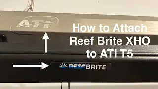How to Attach Reef Brite XHO to ATI T5 SunPower Saltwater Coral Reef Aquarium