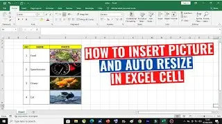 How to insert picture in excel cell ll Auto Resize II