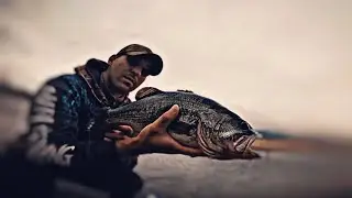 La pesca del blackbass y el lucio en invierno