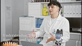 Understanding IGF 1 Protein:  Structure, Function, and Application