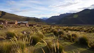 Andean Highlands | Pan Flute for Sleep & Focus