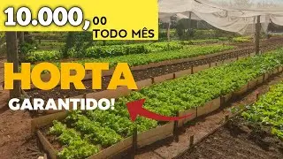 COMO GANHAR DINHEIRO R&Aacute;PIDO E F&Aacute;CIL COM HORTA E HORTALI&Ccedil;A