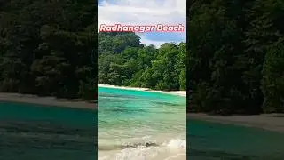 Asia's Cleanest Beach #radhanagarbeach #havelockisland #andamanislands #beaches #blueflagbeach