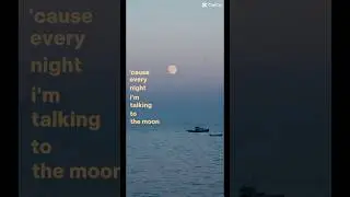 #fullmoon #bluemoon #travel #ocean #harbor #beach #moonrise