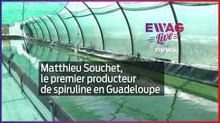 Matthieu Souchet, le premier producteur de spiruline en Guadeloupe_EWAG News