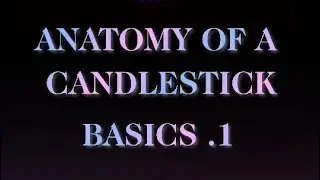 Anatomy of a Candlestick | Basics of Forex Trading | BlackLine Matrix