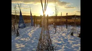 Winter enclosure training seminar announcement