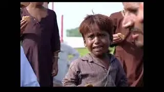 Bacha q Roya??? #kids #bachy #bachaparty
