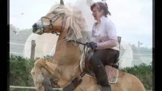 Erinnerungen an einem Ausnahme Haflinger