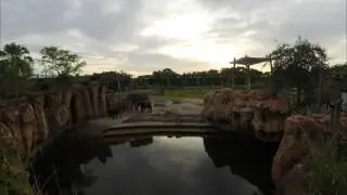 Sunset Celebration: Sunset over our African Savanna