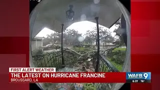 9Reports: Ring camera captures tree crashing down