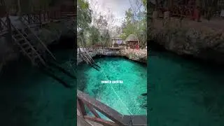 The Best Cenotes and Lagoons in Tulum, Mexico