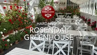 Rosendal Greenhouse Restaurant, Rosendal | Norwaycation.com