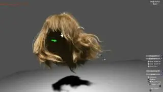 Hair Tessellation Using AMD  HD5870