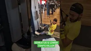 SERRATUS & LOWER TRAPS KILLER