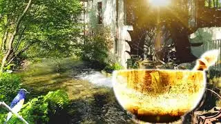 Tibetan Singing Bowls with Water Sounds and Bird Sounds