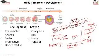 🧬 Title: Genetic Control of Human Development | Genetics | BIOSCORE by SCORE Online Coaching