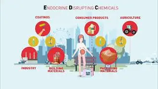 ENDPoiNTs project to identify endocrine disrupting chemicals inducing developmental neurotoxicity