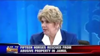KUSI Morning Show:  DA Dumanis talks about animal abuse and more