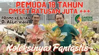 Pemuda 18 Tahun, Omset Ratusan Juta! Intip Koleksi RARE Item Iyan Aglonema yang Fantastis | Eps.14