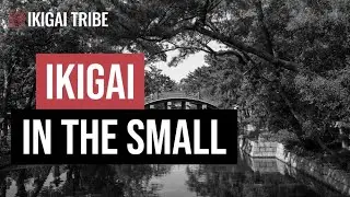 Ikigai: Embracing the beauty of small moments