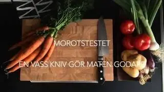 Morotstestet Vikingsun Satake