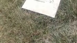 MiniCp test flight.MP4
