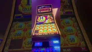 Melbourne cup midnight #Pokies #Slots #GamblingLife #SlotsCommunity #PokieFeature #dragontrain