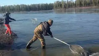 Hooligan Fishing South Central Alaska