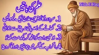 Ilm Ki Batein | Hikmat Ke Sunehri Alfaz | Golden Lines of Wisdom | world of wisdom |emotional bayaan