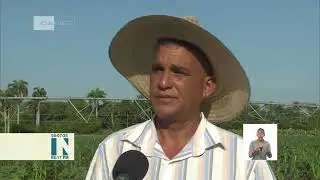 Trasvase de Holguín y sus impactos en el programa alimentario