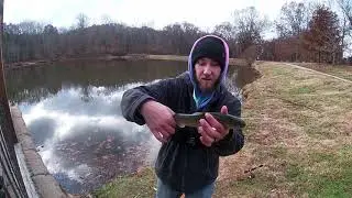 Trout Fishing Waverly park (episode #1)