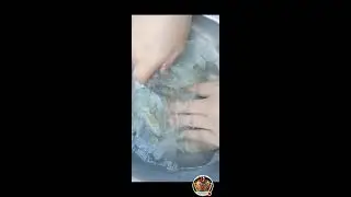 ASMR 🤩 Cutting/Deveining shrimp without removing shell 🦐🦐
