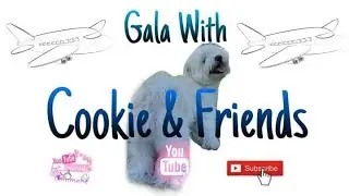 COOKIES' LANDING ADVENTURE IN AIRPLANE [COOKIES' ADVENTURE] | COOKIE FLORES AND FRIENDS