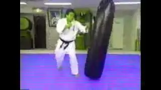 kancho matsui , kyokushin karate instructional video 4-4