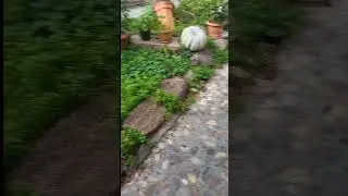 I heard Pinki&hellip; | Sprunki In Real Life