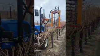 Provitis Pre Prunner
