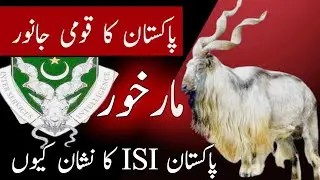 Markhor in Pakistan, Full Documentary ,ISI PAKISTAN Ka NISHAN MARKHOR Q?( SAMAR RM)