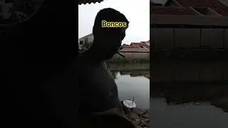 mancing predator kolam #mancingsemarang