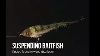 FLYTYING SBS SUSPENDING BAITFISH