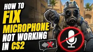 How to FIX MICROPHONE NOT WORKING in CS2