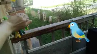 16 серия . Это конец!!!!