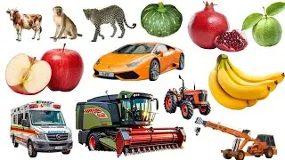 fruit name, animal name and construction name hind and english name | kids study name 