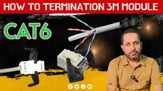 Cat6 Module Termination Explained | 3M RJ45 Module Full Process