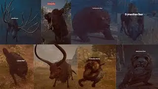 Assassin's Creed Odyssey - All Legendary Animals & Become Friendly With the Daughters of Artemis